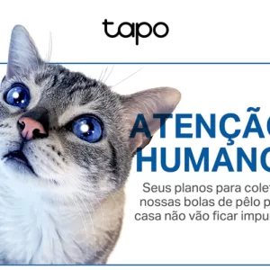 Aviso para os Pais e Mães de Gatos!