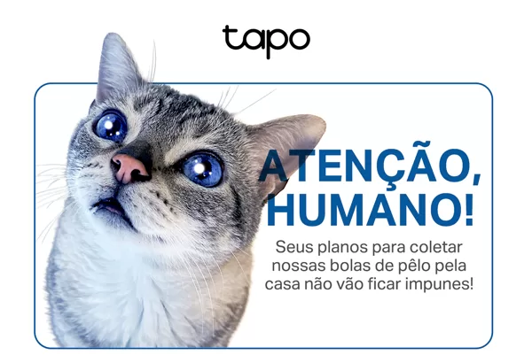 Aviso para os Pais e Mães de Gatos!